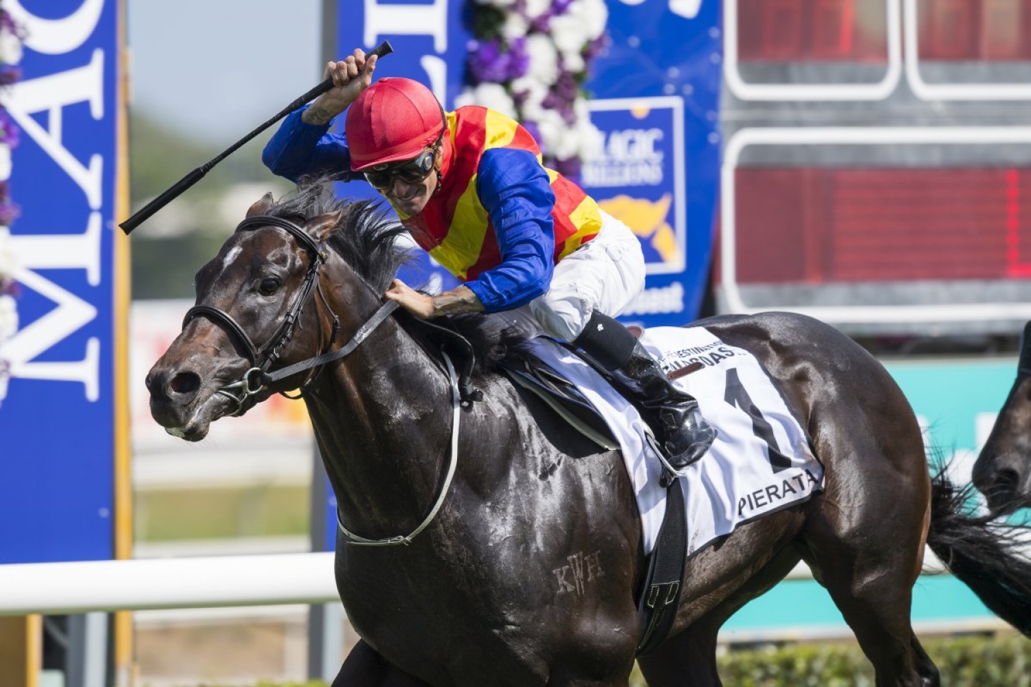 The Star Gold Coast Magic Millions Race Day