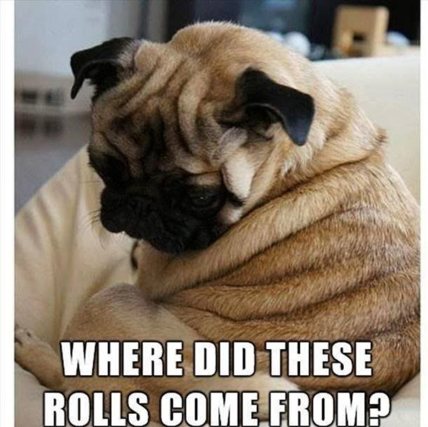 Mr. Jeeves' Joke of The Week