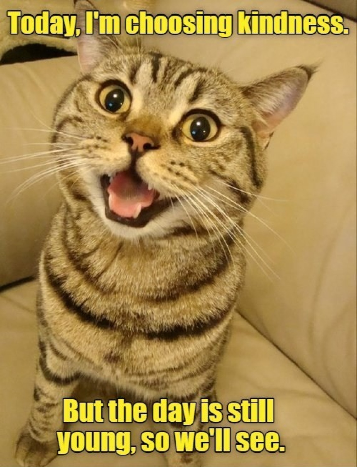 Mr. Jeeves...