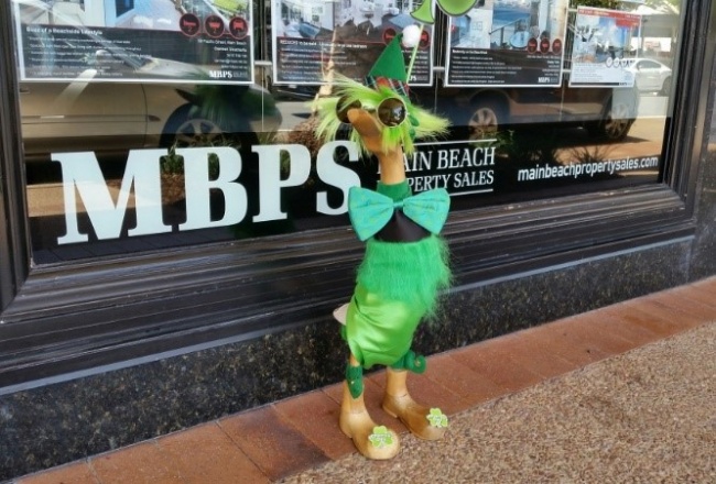 This week at MBPS