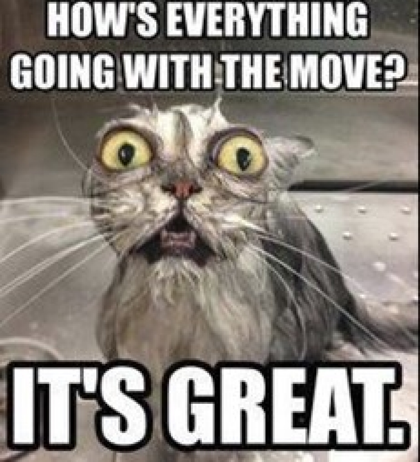 Mr. Jeeves...