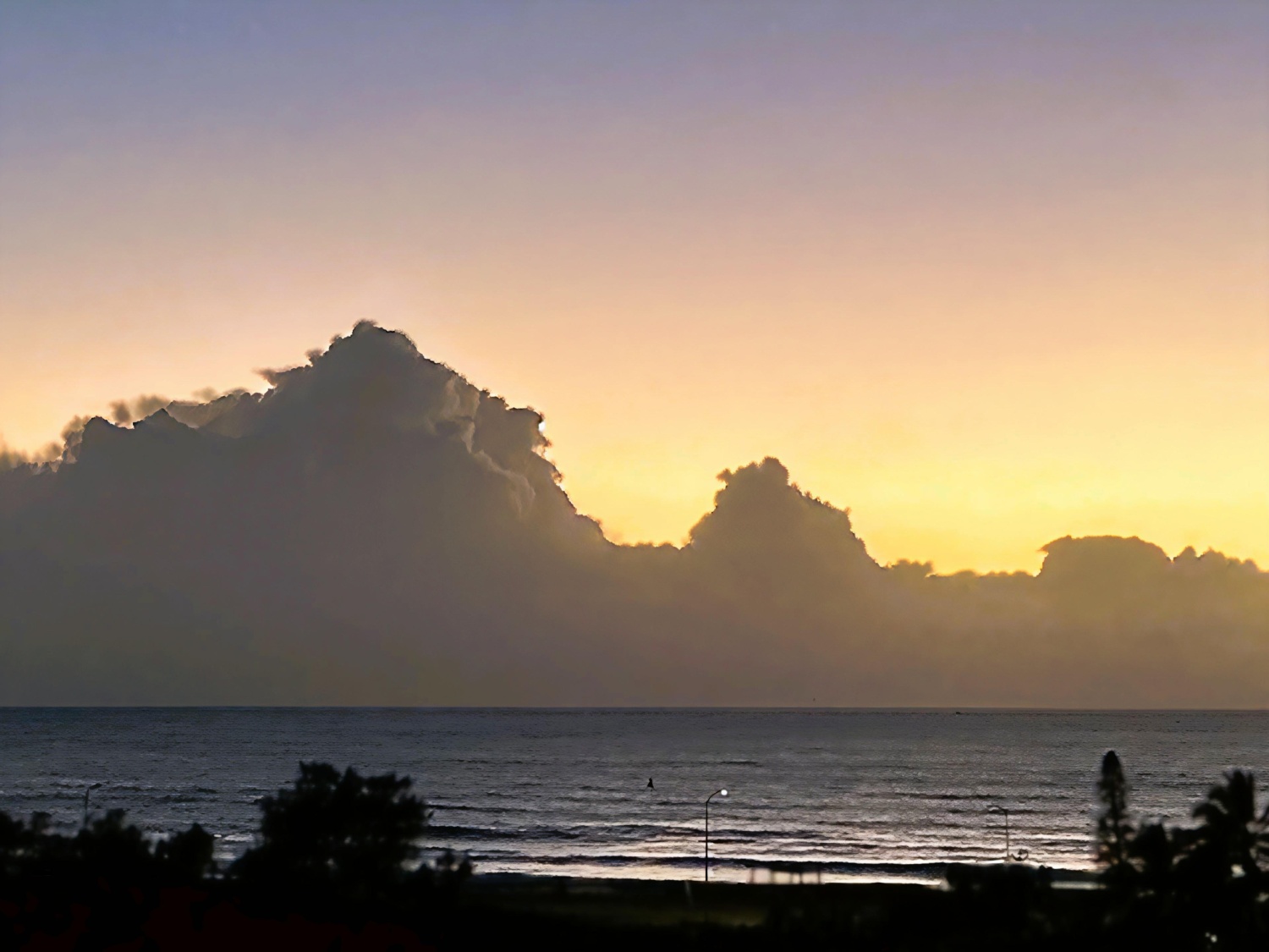 This week at MBPS Main Beach Property Services