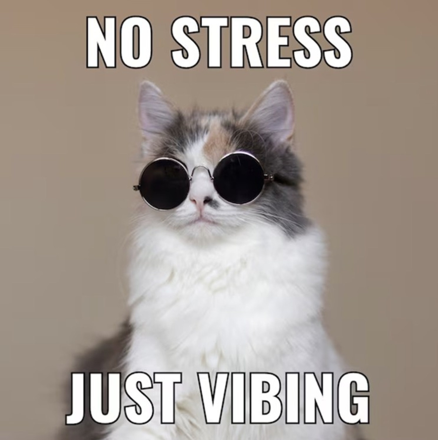 Mr. Jeeves...